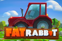 Fat Rabbit